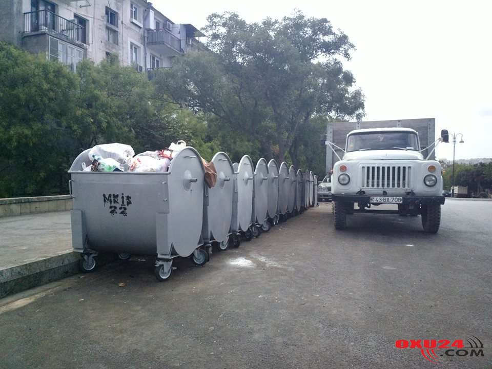 Bakıda vəhşilik: Zibil qutusuna cücələri diri-diri tökdülər +VİDEO