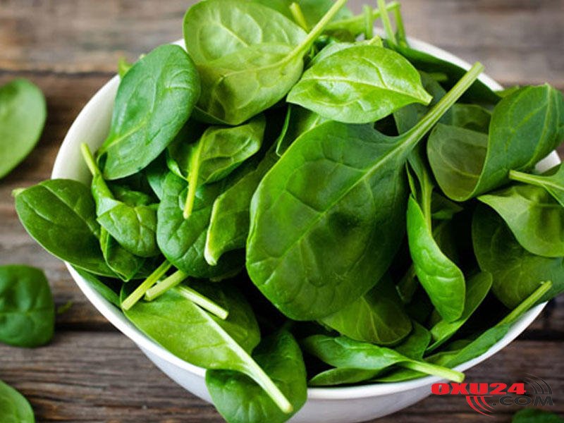 \\\"Mədənin süpürgəsi\\\" - Faydasını saymaqla bitmir