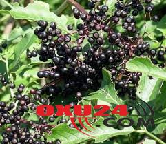 \\\"Xərçəng\\\"in tam müalicəsi - Xəstə üzərində sınanılmış resept