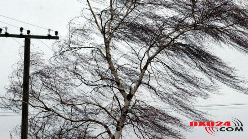 Hava şəraiti ilə bağlı sərnişin və sürücülərə VACİB XƏBƏRDARLIQ