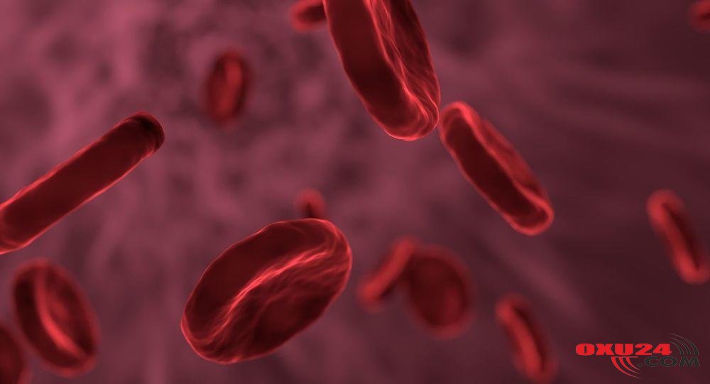 Orqanizm özünü belə bərpa edir - Alimlərdən YENİLİK