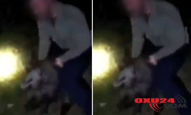 Gəncin  donuza  qarşı  etdiyi  iyrənc  hərəkət  olay  yaratdı +VİDEO