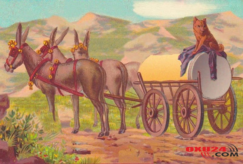 Fotoda insan üzünü tap - 10 ildir bu testi həll edən tapılmır