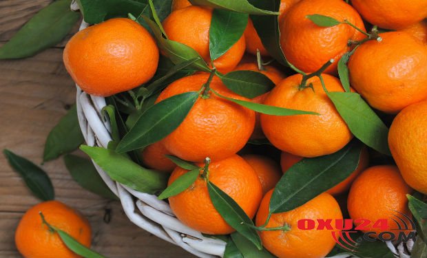 İmmuniteti gücləndirir, xərçəng riskini azaldır — NARİNGİNİN BİLİNMƏYƏN FAYDALARI