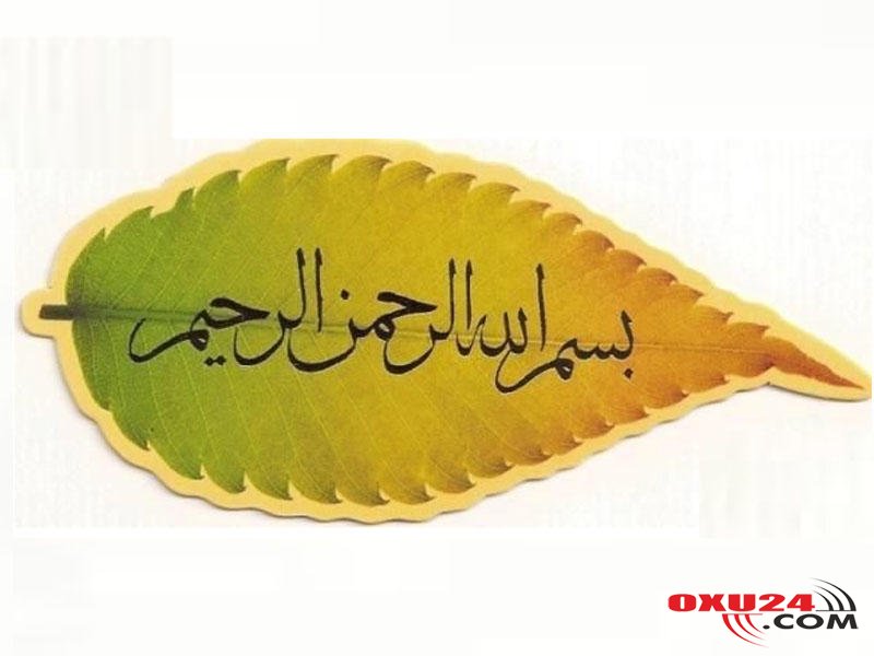 İnsan yatan zaman \\\"Bismilləhir-Rahmənir-Rahim\\\" deyərsə.