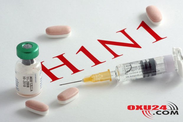 Qonşu ölkədə donuz qripi həyəcanı