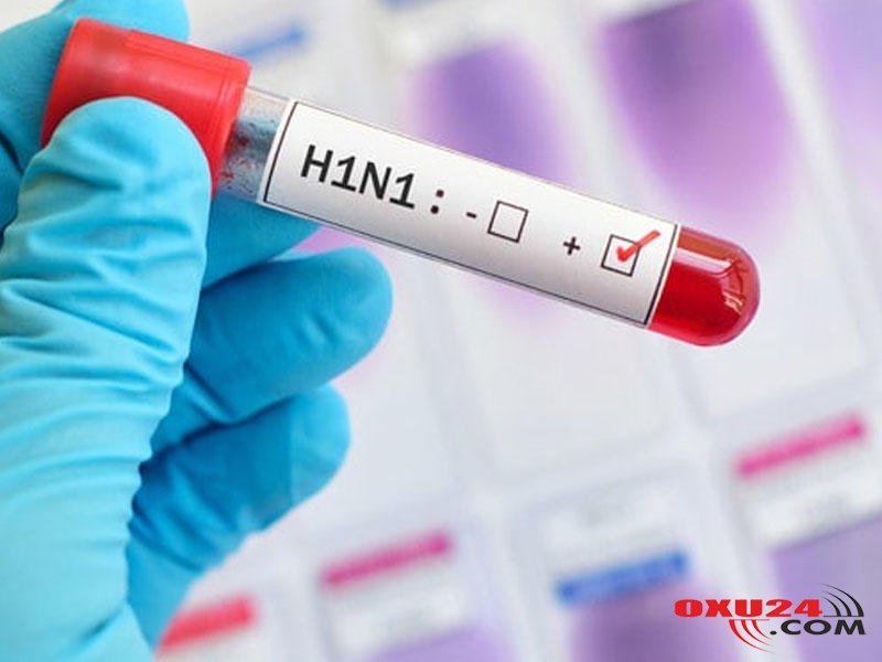 Gürcüstanda “donuz qripi”ndən ölənlərin sayı 8 nəfərə çatıb