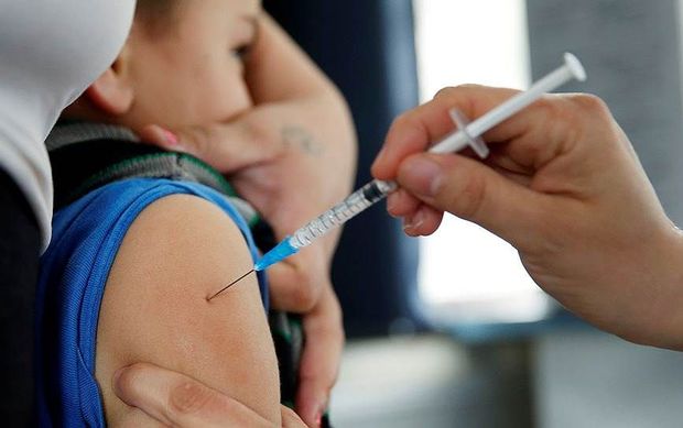 Gürcüstan \\\"donuz qripi\\\" ilə üz-üzədir: Ölənlərin sayı durmadan artır, dərman tapılmır