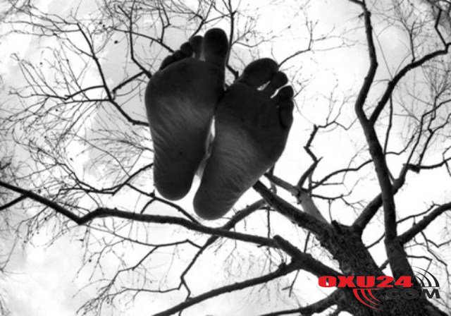 Samuxda 46 yaşlı kişi özünü asdı - 5 uşaq atasıdır