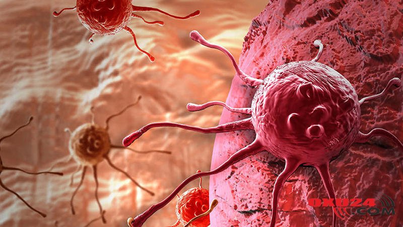 Xərçəngin yeni müalicəsi TAPILDI - Alimlər İNANILMAZI BACARDI