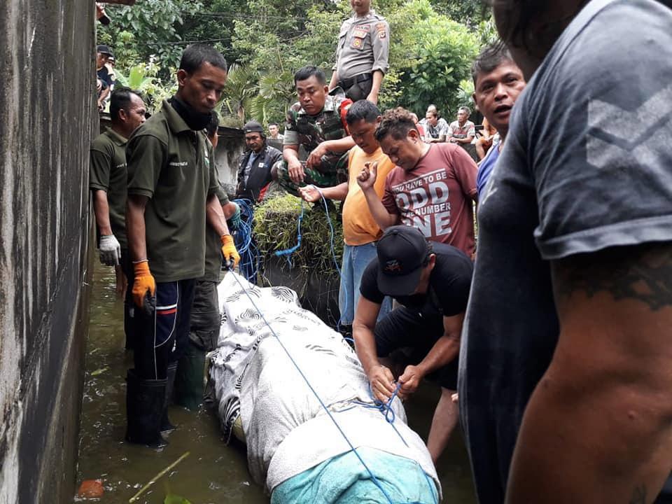 ŞOk : 700  kiloluq timsaq qadını uddu, ölkə  təşvişə  düşdü +VİDEO