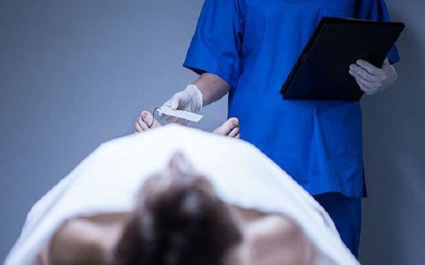 \\\"Donuz qripi\\\" Rusiyaya  çatdı - Ölən var