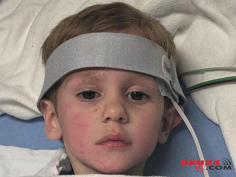 Meşədə itkin düşən 3 yaşlı uşaq 2 gün \\\"qar adamı\\\" ilə dostluq edib - FOTOLAR