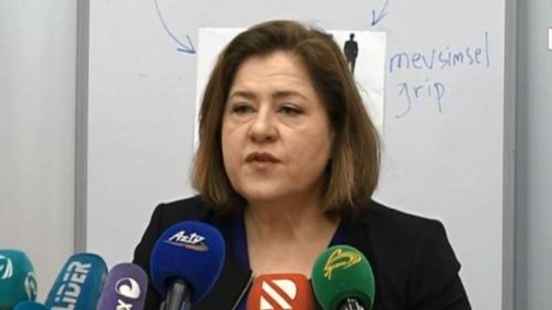 Azərbaycanda \\\"DONUZ QRİPİ\\\"nin olduğu TƏSDİQLƏNDİ