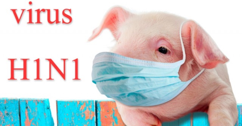 `Donuz qripi`ndən qorunmaq üçün nə etməli? - Mütləq oxuyun