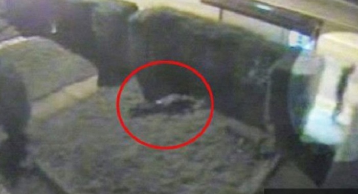 Dəhşətli anlar kamerada!Dayanacaqda dayanan azyaşlı qız zorlandı