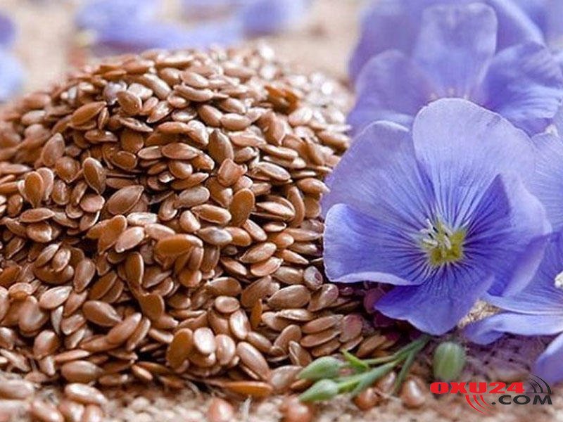 Kətan toxumu çeynəməyin 3 möcüzəvi təsiri – Bir çox orqanları bərpa edir