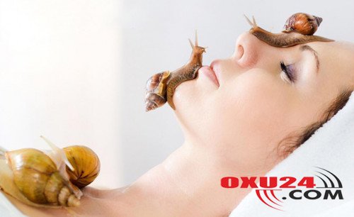 Dərinin “ən bahalı kremi”: üzdə gəzən ilbizlər