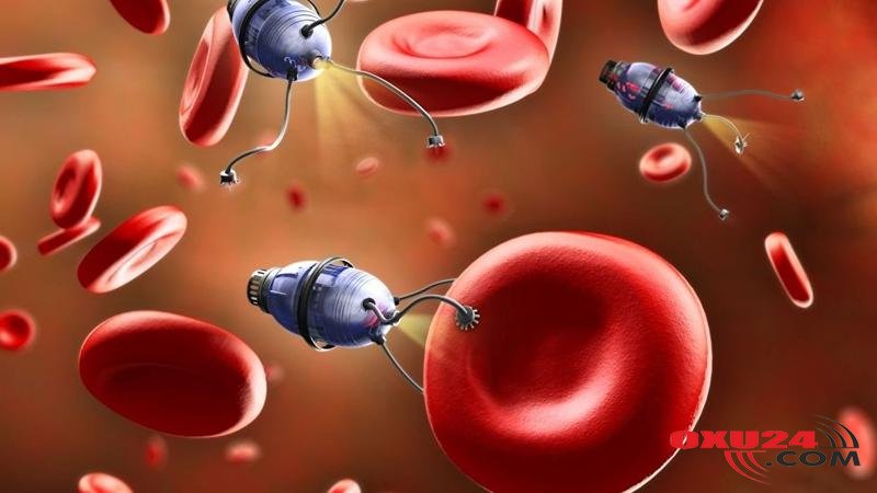 Məşhur alim xərçəngin əsl səbəbini açıqladı: \\\"Qışda badımcan və yumurta yesəniz...\\\"