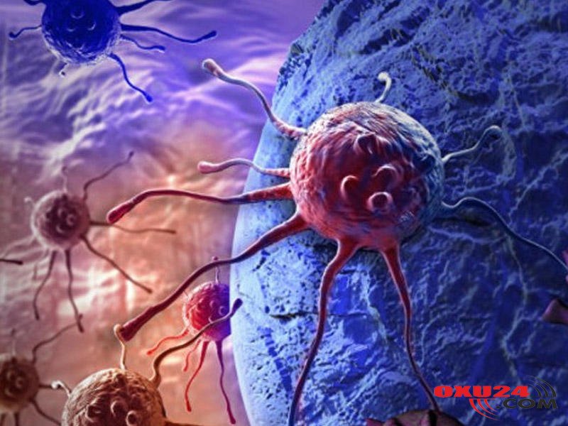 Məşhur alim xərçəngin əsl səbəbini açıqladı: Qışda badımcan və yumurta yesəniz...