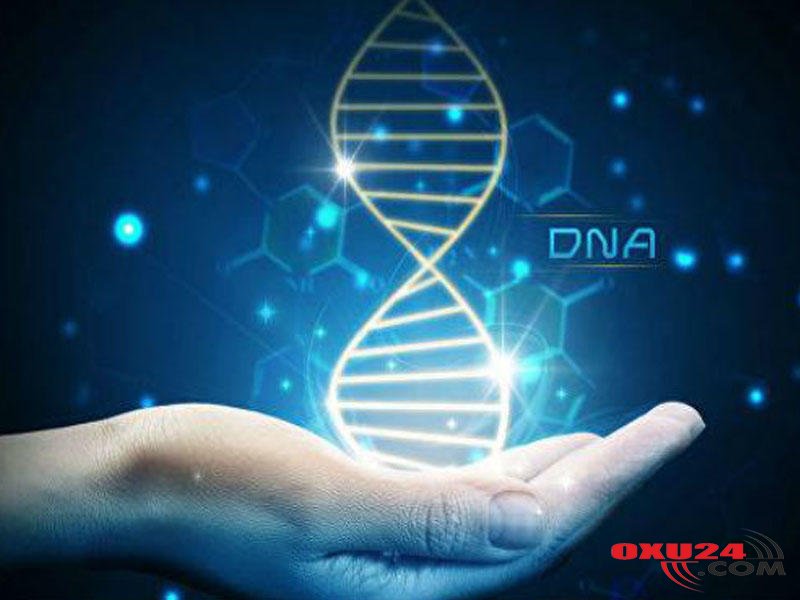 Gecə işi sağlamlığa təhlükəlidir - Alimlərdən xəbərdarlıq