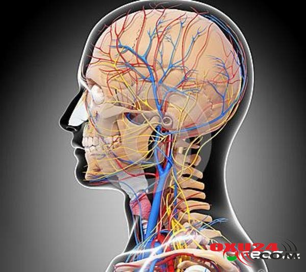 İnsult 1 ay öncədən gələcəyini belə xəbər verir – Bədənin 5 siqnalı