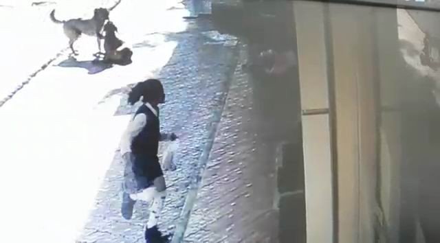 Azərbaycanlı gənc klubdan qayıdan afrikalı qızlara hücum etdi