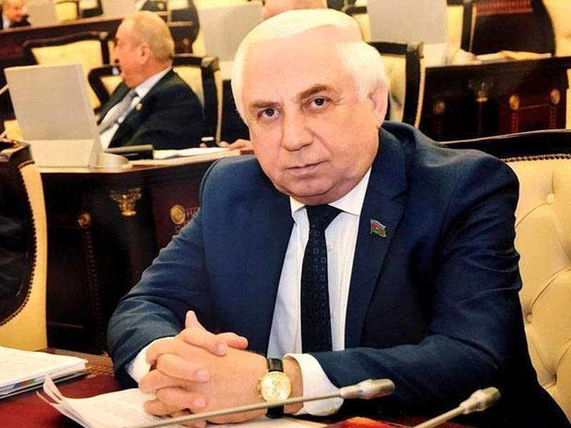 Xoşqədəm Hidayətqızı məhkəməni uddu - Nazilə Səfərli üzr istəyəcək