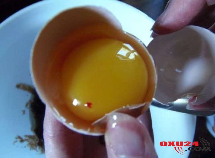Qan ləkəsi olan yumurtaları yemək düzgündürmü?