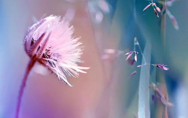 Martın 8-də hava pisləşəcək - Xəbərdarlıq
