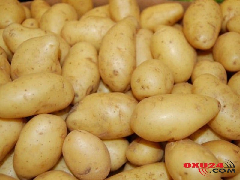 Azərbaycanda ən bahalı kartof bu kənddə satılır - kiloqramı 3 manatdır