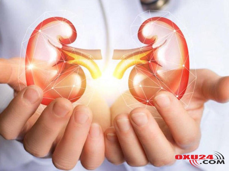 Böyrəkləri qoruyan 8 QİDA