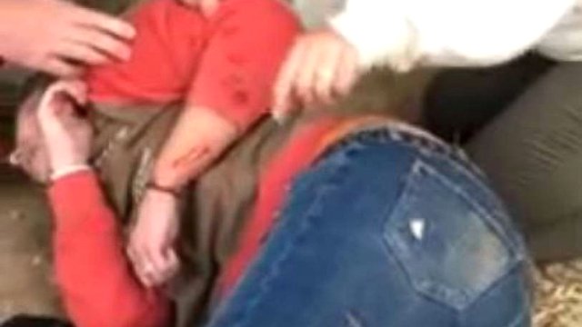 Şok görüntü! Selfi çəkmək istəyən qadının qolunu yaquar parçaladı