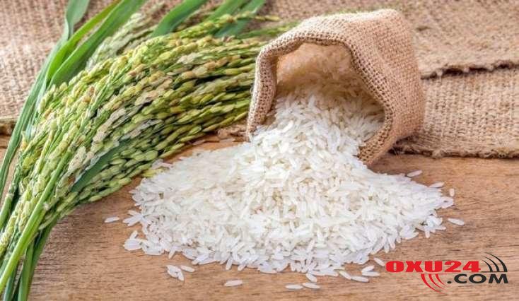 Hər gün 1 ədəd düyü udsaq ORQANİZMDƏ NƏ BAŞ VERƏR?