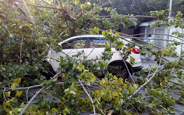 Güclü küləklə bağlı əhaliyə - Xəbərdarlıq
