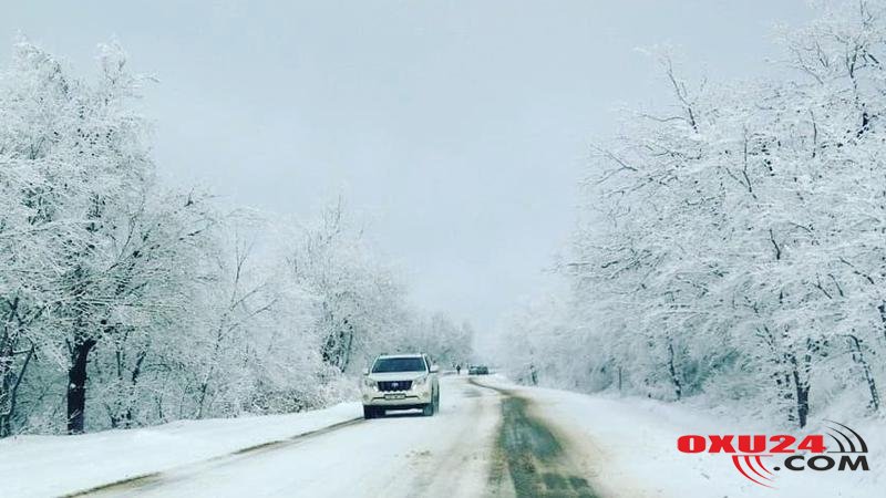 Külək, yağış, qar, 5 dərəcə şaxta - SABAHIN HAVASI