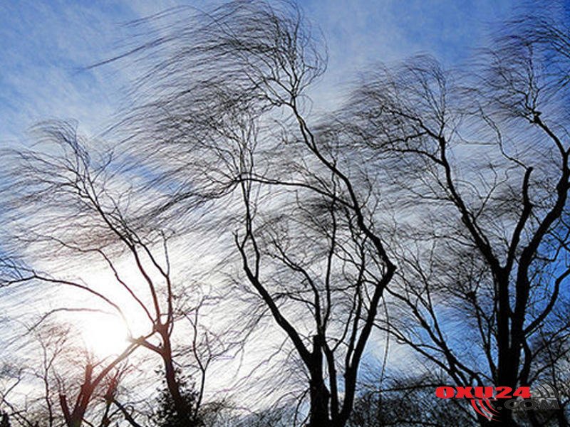 Bakıda güclü külək, rayonlarda qar - HAVA PROQNOZU