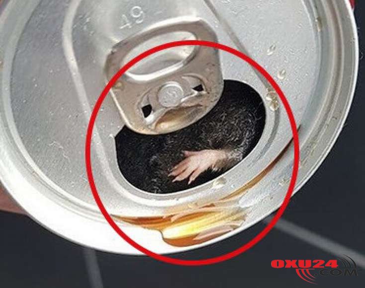 Hər gün içdiyimiz içkinin qabından baxın nə çıxdı - DƏHŞƏT / FOTO