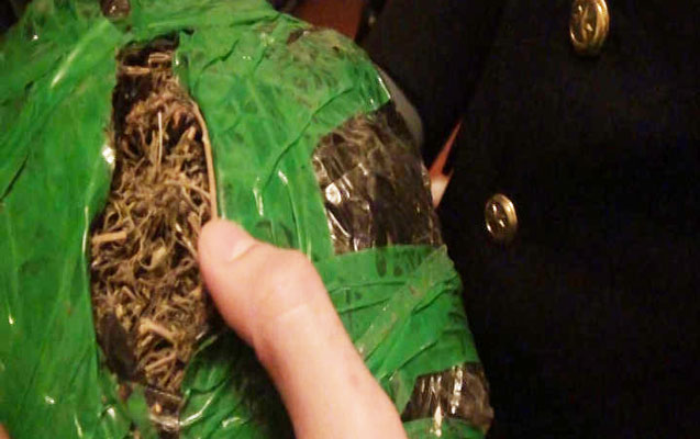 Kirayə yaşadığı evindən 18 kq narkotik çıxdı - Foto