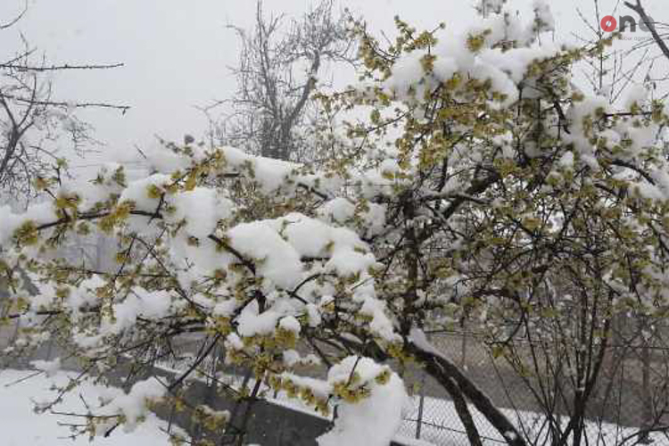 Hava xəbərdarlığı:Qar YAĞACAQ!