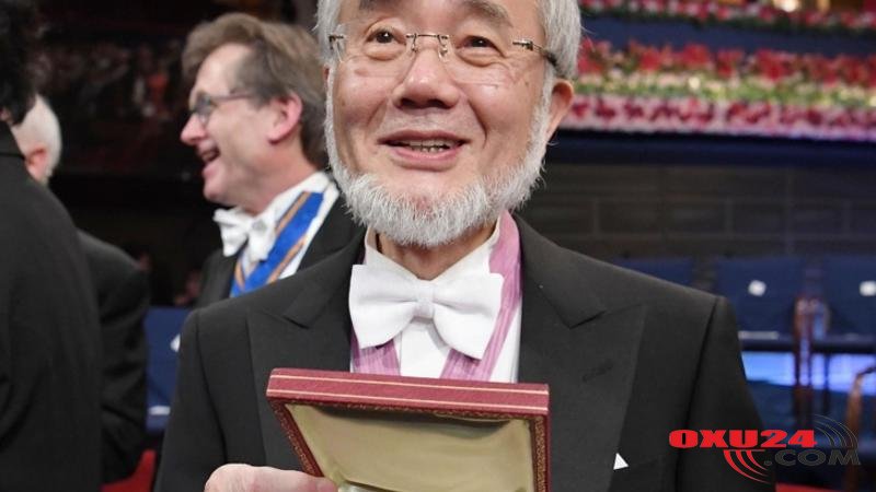 Ac qalanda bədəndə möcüzə baş verir - Məşhur alimdən MARAQLI ARAŞDIRMA