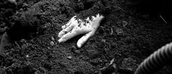 Azərbaycanda ŞOK Cinayət:Gənci öldürüb,meyiti balta ilə şaqqalara ayırıb 3 rayonda basdırdılar