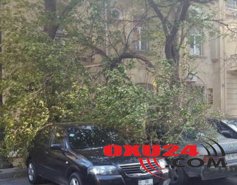 Azərbaycanlı müğənni ərini maşında başqa qadınla tutub: Ağacların arasında... - FOTO