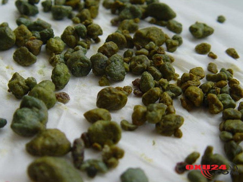 7 günə öd daşından azad olun - Qədim Çin üsulu