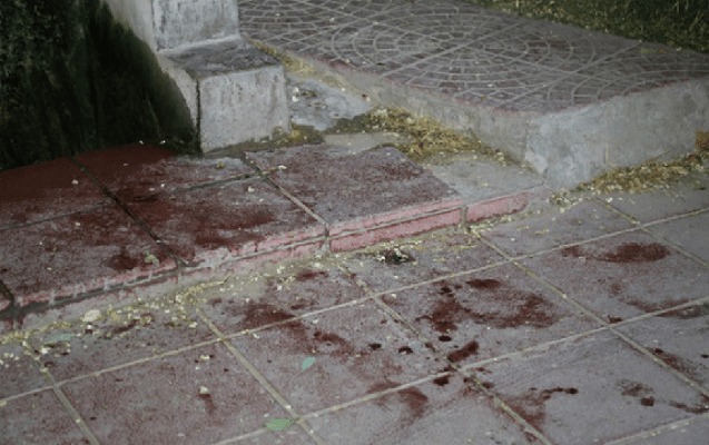 Bakıda parkda dəhşətli hadisə