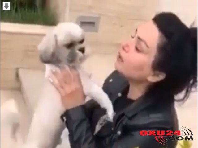 Sənə qurban olum Riçi: Gözyaşlarını tökən qadın itini tapdı