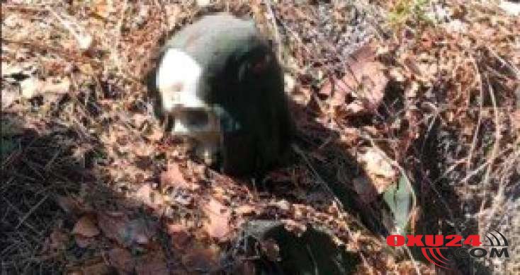 2 ildir xəbər yox idi görün necə tapıldı?