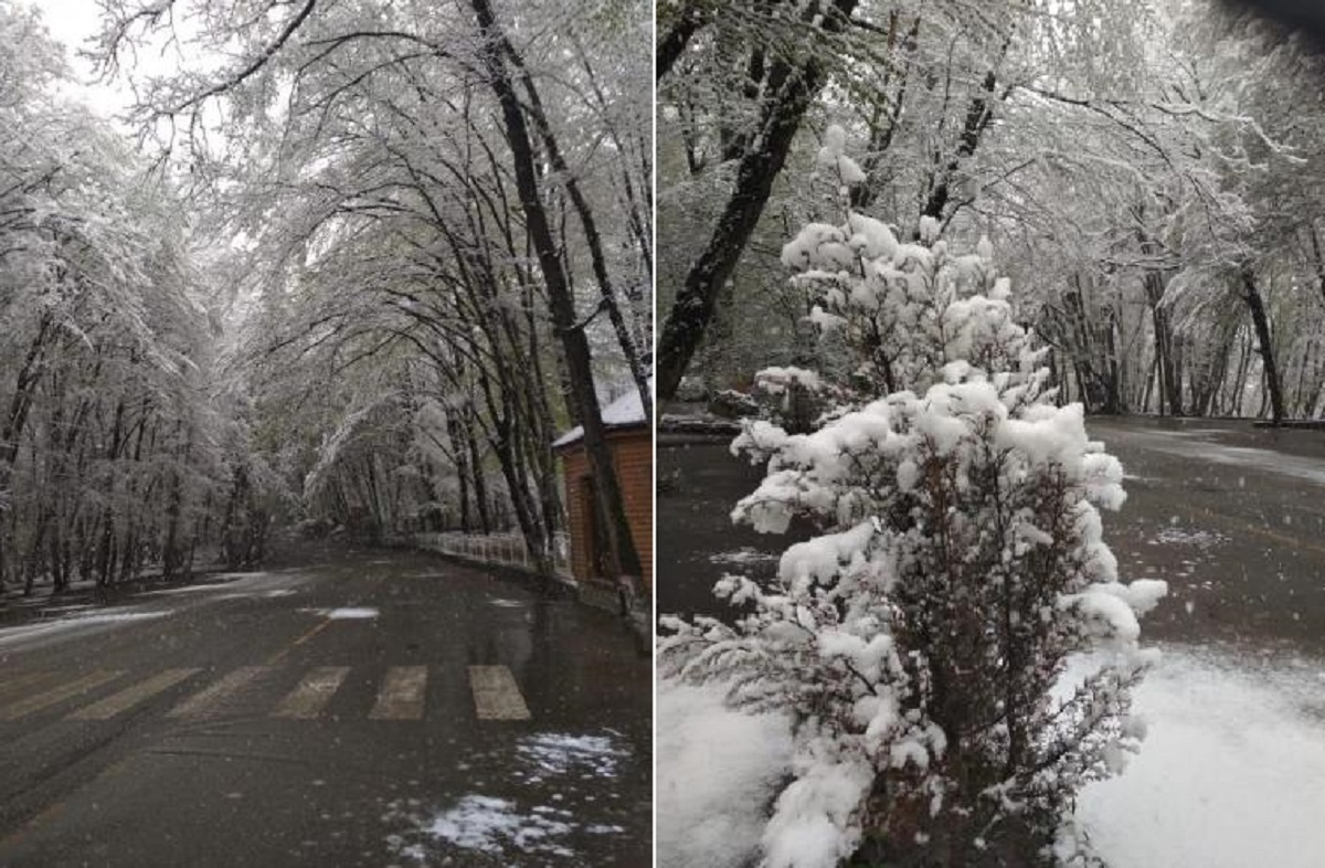 Qubaya 6 sm qar yağdı - Temperatur mənfi 8 dərəcəyədək enib