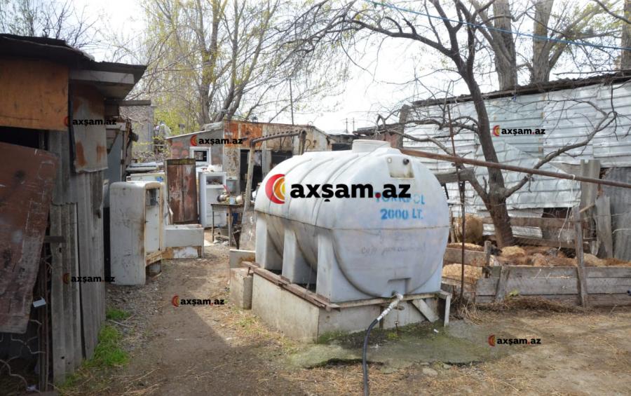 Nazpəri Dostəliyevanın qardaşı burada yaşayır - Foto