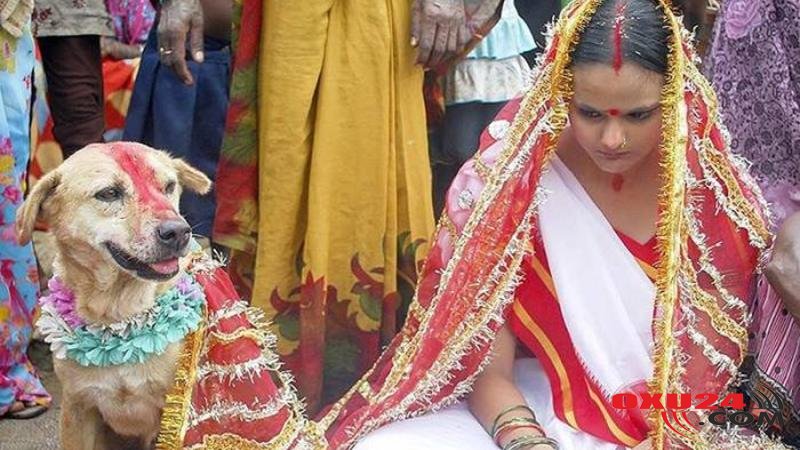 ŞOK TOY ADƏTLƏRİ: hamilə gəlin, heyvanla evlilik, ərini tapana kimi hər kəslə seks - FOTO